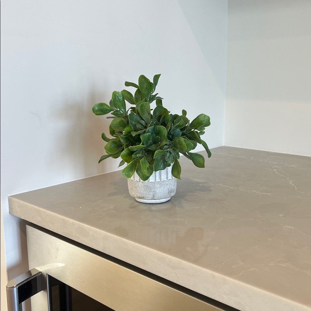 Faux Jade Plant in Stone Pot Home Decor - Picture 3 of 6